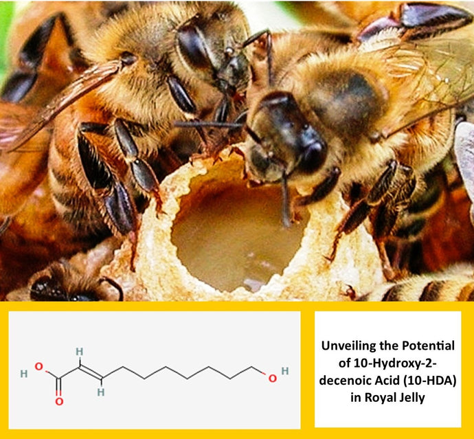 Unveiling the Potential of 10-Hydroxy-2-decenoic Acid (10-HDA) in Royal Jelly